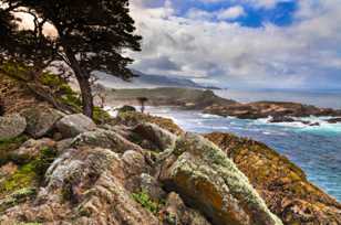 Point Lobos-3268.jpg